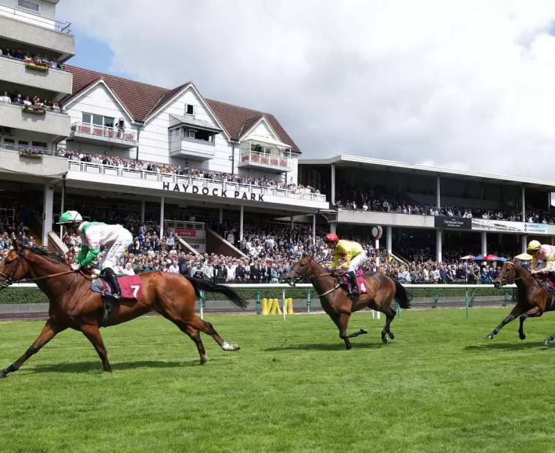 Weekend Racing Tips: Grey Dawning Leads Betfair Chase Selections