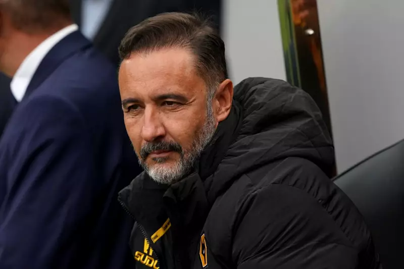 Wolves' Managerial Hunt Takes Dramatic Turn as Vitor Pereira Emerges as Shock Contender