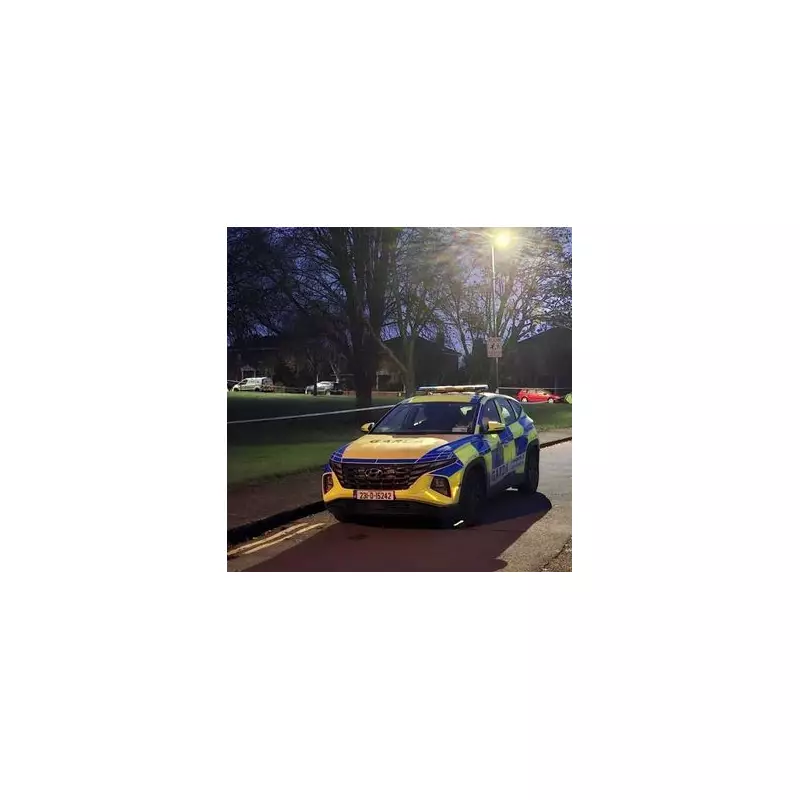 Woman, 59, dead and husband fights for life in Cork stabbing