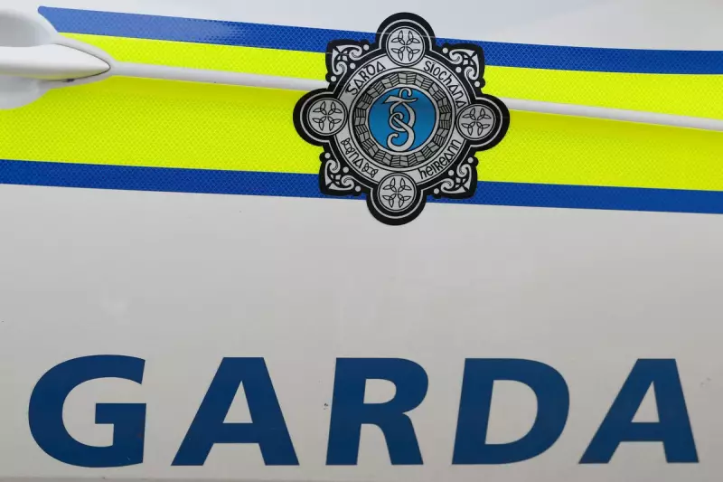 Woman Dies, Man Injured in Cork Assault: Man in 20s Arrested