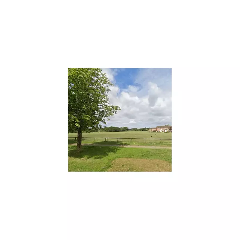 Woman sexually assaults victim in Wellingborough park before boyfriend flashes