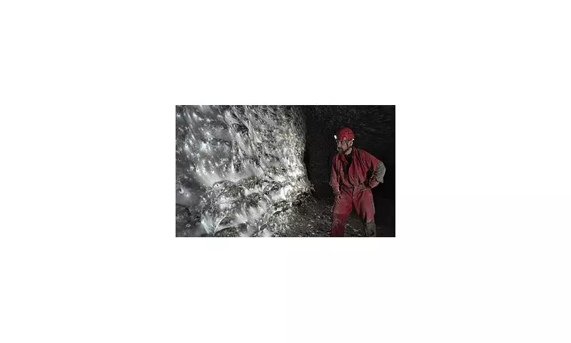 World's Largest Spider Web Discovered: A Creepy-Crawly Marvel Spanning Multiple Acres