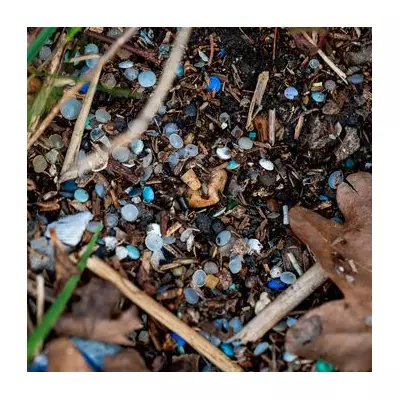 Camber Sands Plastic Pellet Spill: 'One of Worst Pollution Incidents'