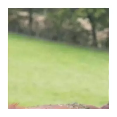 Kelvin Fletcher's Peak District Farm Opens for Weddings Amid Injury Setback