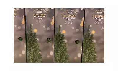 Tesco's 'Evergreen Trees' Spark Woke Backlash from Brits