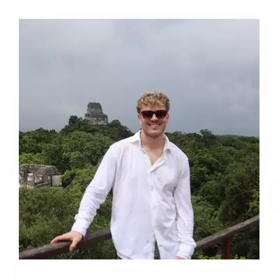 Trekking Through Star Wars' Tikal: Monkeys, Jaguars & Mayan Mysteries