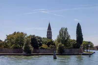 Venice's Lone Dolphin Mimmo Faces Peril from Tourist Boats