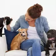 13 Cats, 3 Dogs, Zero Smell: The Monday Deep-Clean Secret