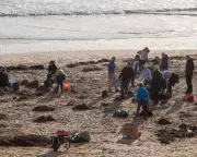 15 English Sewage Plants Use Risky Plastic Beads After Camber Sands Spill