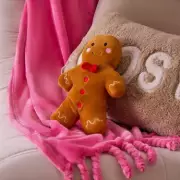 15p-a-week gadget helps Brits stay warm in -12C freeze