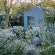 3 Items to Remove From Your Shed Before Winter Hits