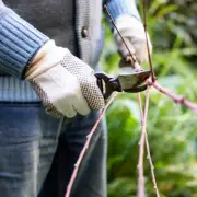 35p White Vinegar Hack Removes Rust from Garden Tools in 8 Hours