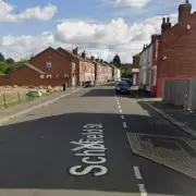 5-Year-Old Boy Mauled by 'Bull Breed' Dog in Sheffield Park