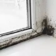 7 Essential Tips to Banish Condensation and Mould This Winter