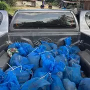 81 Live Monkeys and Class A Drugs Seized in Thailand Smuggling Bust