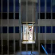 Abandoned Dog Waits 300 Days for a Home Before Viral Miracle