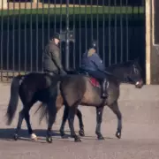 Andrew Mountbatten-Windsor Spotted After Royal Title Removal