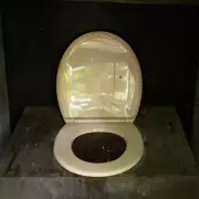 Ant McPartlin Reveals Dec's Jungle Dunny Habit in I'm A Celeb