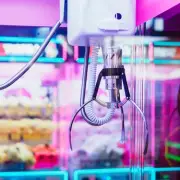 Arcade Expert Reveals Secret Claw Machine Trick That Guarantees Wins Every Time
