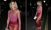 Ashley Roberts Stuns in Sheer Pink at London Charity Event