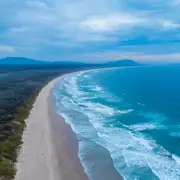 Australia shark attack: Woman dead, man critical in double mauling