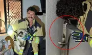 Australian Firefighter Becomes Internet Sensation After Cat Rescue