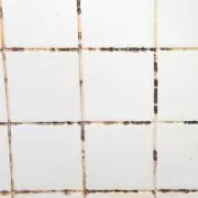 Banish Bathroom Mould for Good: 5p Hack Stops Spores Spreading