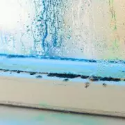 Banish window condensation with one simple daily morning habit