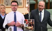 Barnaby Joyce Quits Nationals for One Nation, Blasted by Former Party