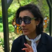 BBC's Celebrity Race Across the World Halted in Guatemala Over Safety Fears