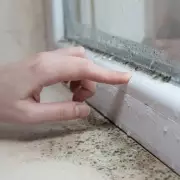 Beat Condensation for Good: 10 Expert Tips to Protect Your Home This Winter