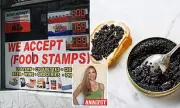 Benefits Crackdown: Luxury Foods Like Caviar and Lobster Face Removal from Welfare Shopping Lists