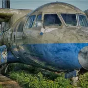 Berlin's Nazi-Era Airport Transformed into Vast City Park