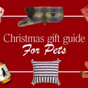 Best Christmas 2025 Gifts for Pets: Turkey Treats to Tartan Coats