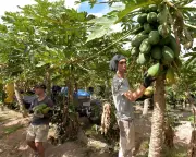 Beyond Backpacking: The Financial Realities of Modern Gap Years