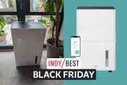 Black Friday Deal: Top-Rated Dehumidifier Slashed by £100