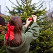 B&M's £5 Red Bow Creates 'Luxury' Christmas Tree Look