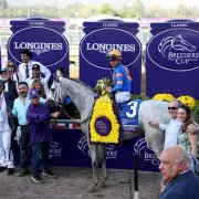 Breeders' Cup Drama: White Abarrio Cleared for Classic After Late Veterinary Scare