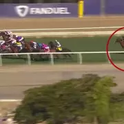 Breeders' Cup Dreams Dashed as Star Jockey Callum Davison Suffers Devastating Injury