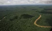British Taxpayers Foot £52m Bill for Controversial Amazon Road Project Cutting Through Rainforest