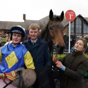 Brother Duo's Fairytale Win at Punchestown with Just Two Horses