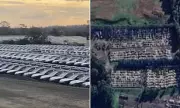 BYD Electric Vehicle Invasion: Are Australian Car Parks Becoming Unsafe Under Albanese's Green Policy?