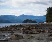 Carney's Alberta Oil Deal Sparks Cabinet Resignation and First Nations Backlash