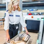 CCC Mark: The 3 Letters That Save Your Power Bank at Chinese Airports