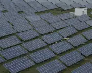 China Resists Sole Climate Leadership Role at COP30, Urges Global Cooperation