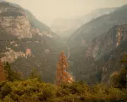 Climate Crisis Impacts: How Americans Face Daily Life Changes