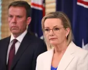 Coalition Drops Net Zero, Flags Immigration Cuts in Energy Policy Shift