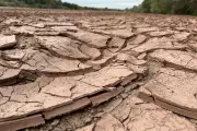 Colorado River Crisis: 10 Million Face Water Shortages by 2050