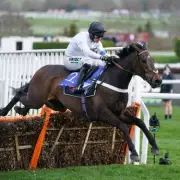 Constitution Hill's Fall Stuns Racing as Golden Ace Claims Fighting Fifth