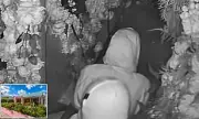 Couple's restaurant sex during Arizona burglary caught on camera